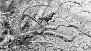 The Fox and The Crow: A Respun Tale