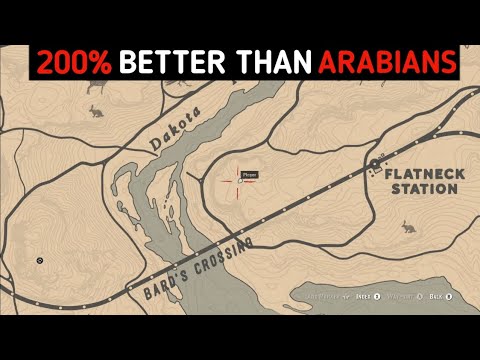 You'll Never Ride Arabian Horses If You Ride This - RDR2