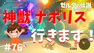 雷の神獣ナボリス攻略！ルージュちゃんと初めての共同作業【ゼルダの伝説ブレスオブザワイルド】～今日もゼルダを救えない#76