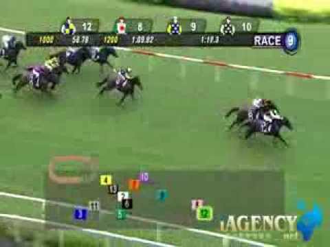 SINGAPORE RACE 20/10/2013 RACE 9 - iAgencyNet.com