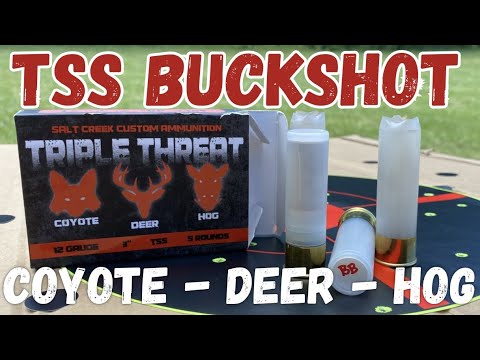 TSS BUCKSHOT ??? - BB TSS Pattern Test