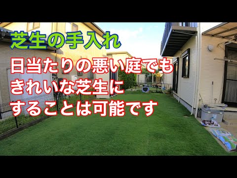 秋の芝生の肥料：いつ、どのように芝生に肥料を与えるのですか？完全ガイド  庭園