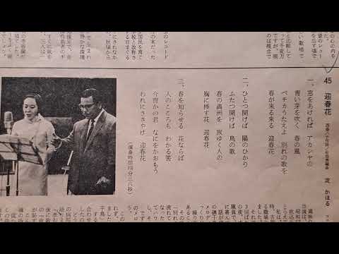 迎春花（台曲：懷念的花籃燈）淀かほる