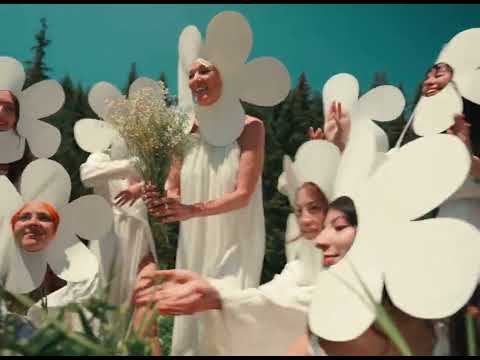 New Constellations - Your Own Parade (Official Music Video)