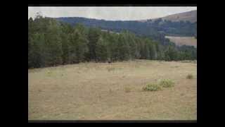 preview picture of video 'ATVing Near Viginia City Montana'