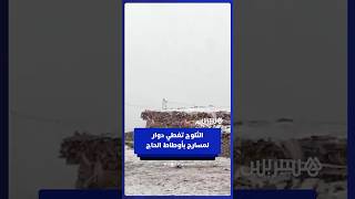 وسط ظروف معيشية قاسية.. الثلوج تكسو دوار لمسارح بدائرة أوطاط الحاج في أولى تساقطات هذا الموسم thumbnail