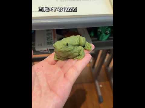 This frog is really a bit realistic hahaha!something very new the tweet toys