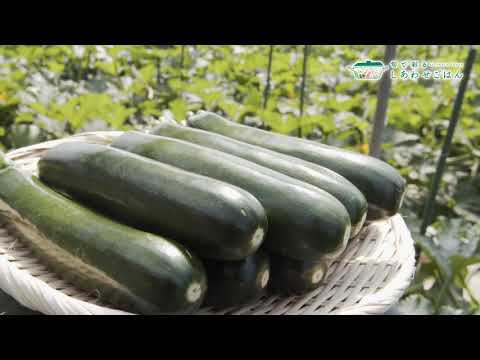 2021年5月7日(金)放送 ズッキーニ生産者の声