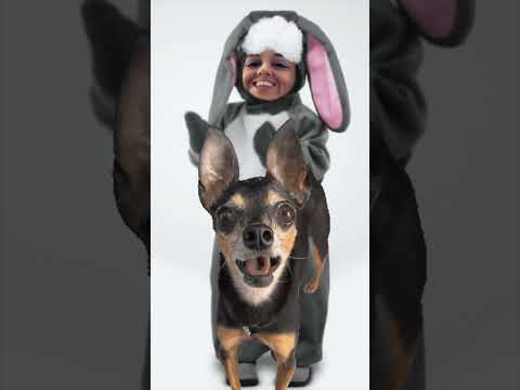 COELHINHO SE EU FOSSE COMO TU...