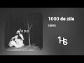 rares - 1000 de zile | O Oră