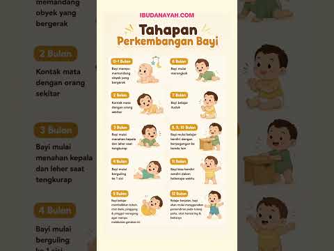 Tahapan Perkembangan Bayi 0-12 Bulan Lengkap Si Kecil Sudah Sampai Mana, Bun? #ibudanayah