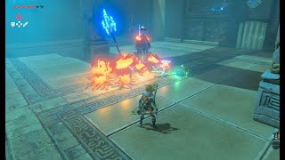 Switch2エディションでブレワイを最初からプレイ  #5　【ゼルダの伝説 ブレスオブザワイルド】＃ゼルダの伝説