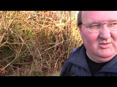 MongoTV_877 - Del 2 - Cykler Ned Imod Furesøen og Snakker