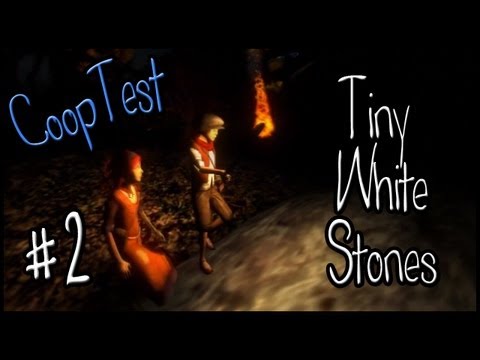Tiny White Stones PC