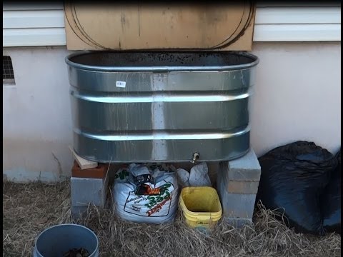 Worm Composting - Vermiculture - Worm Bin Update