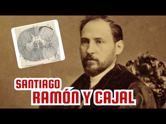 Vídeo relacionado con The Beautiful Brain: The Drawings of Santiago Ramón y Cajal