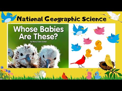 Whose Babies Are These? | National Geographic Science #nationalgeographic #education