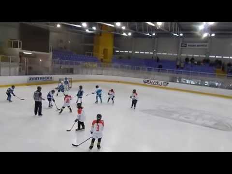 Sportországi Cápák - Miskolci Jegesmedvék EK B