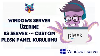 Windows Server 2019 Üzerine IIS ve Plesk Kurulumu | Plesk Panel Port D