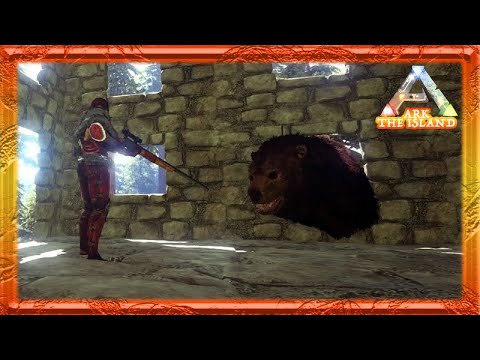 My First Trap - Taming a Dire Bear