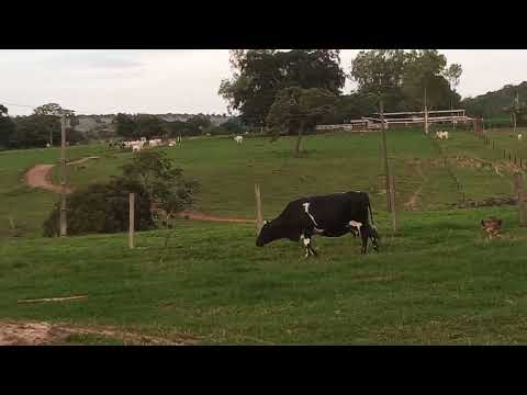 Tarde linda no sudoeste de Mato Grosso- Reserva do Cabaçal 