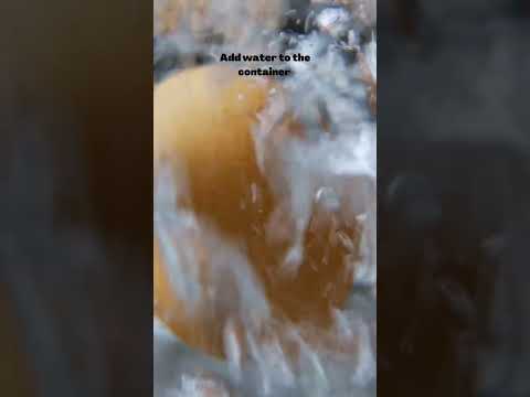 Microwave Boiled Eggs:  Amazing Top 6 Tips and  Tricks for boiled egg in Microwave #shorts