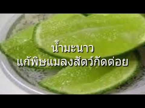 ราคาค้อนของ ธ อร์ใน Voronezh วิธีการเพิ่ม uprozhneniyami สมาชิก