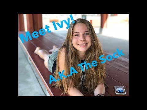 Meet Ivy! a.k.a The Sock