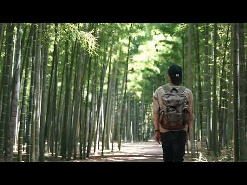 Wakayama Bamboo forest in Utsunomiya, Tochigi, Japan | #japan #datttom