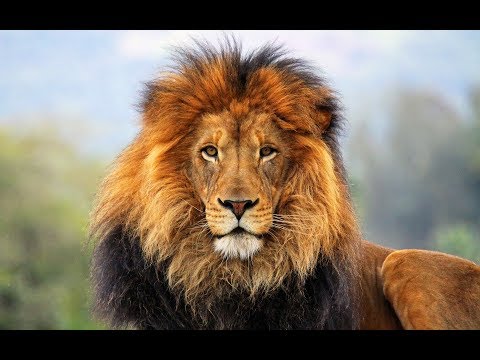 WATCH AND PRAY | 7 hour HEALING HARP meditation | PROPHETIC PRAISE & WORSHIP