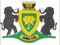 Shaflers Ndi Dzula Ndo Takala