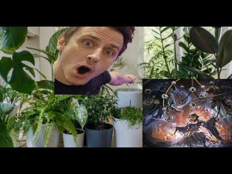 Plant & Storm Build In PoE 2 Is Pretty Damn Nice As Disciple of Varashta & Yep, Energy Shield Good