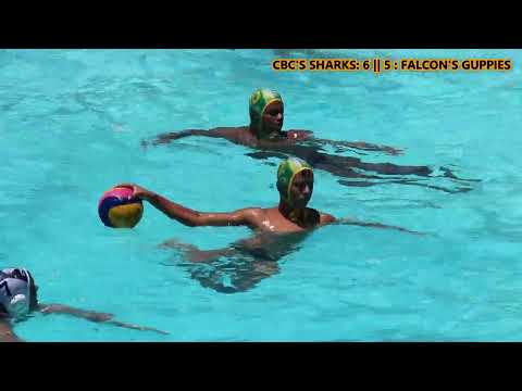 CBC's Sharks VS Falcon''s Guppies || HIGHLIGHTS || [MATCH 3]