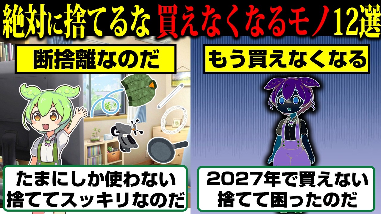 【悲報】断捨離で捨てたアレ、2027年でもう二度と手に入りません…【ずんだもん】