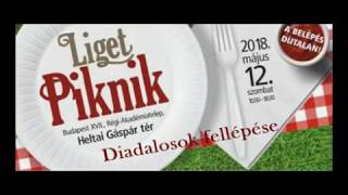 Ligeti Piknik 2018.