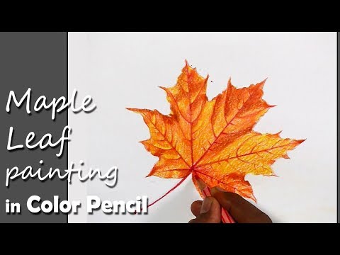 Mountains and Pine Tress Watercolor Pencil Landscape Drawing | steps to follow