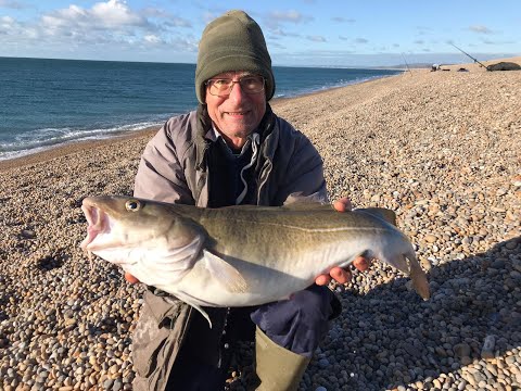 Фото Cod in The Winter Sunshine  Sea Fishing Chesil Beach  Ferrybridge November 21st 2021