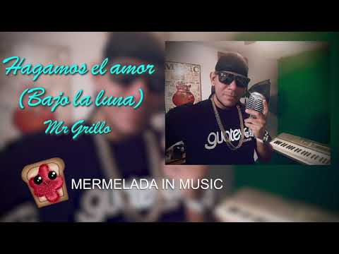 Hagamos el amor - Mr Grillo (Lyrics Video)