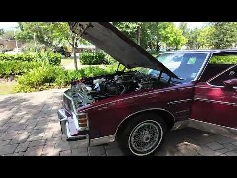 1981 Pontiac Bonneville (CC-2064488) for sale in Lakeland, Florida