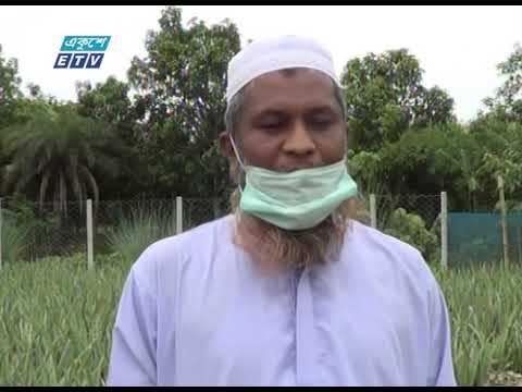 করোনার প্রভাবে বিপাকে পড়েছেন নাটোরের ভেষজ উদ্ভিদ চাষীরা