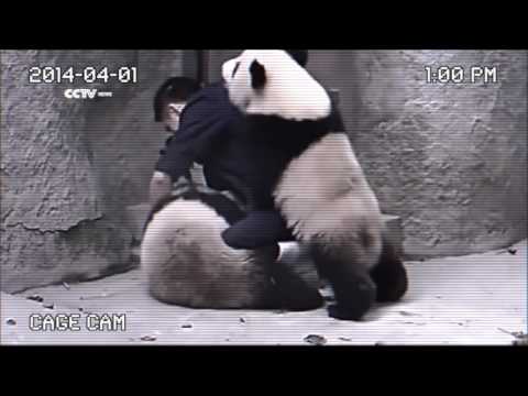 Dazzling Killmen - Medicine Me