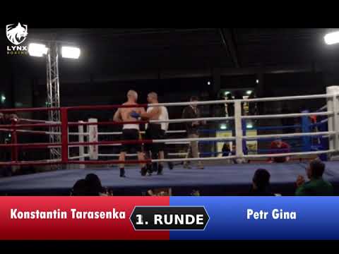 ProBoxing Fight - Fight 15 Tarasenka vs  Gina HQ - Pound4Pound League 27.09.25 Traun
