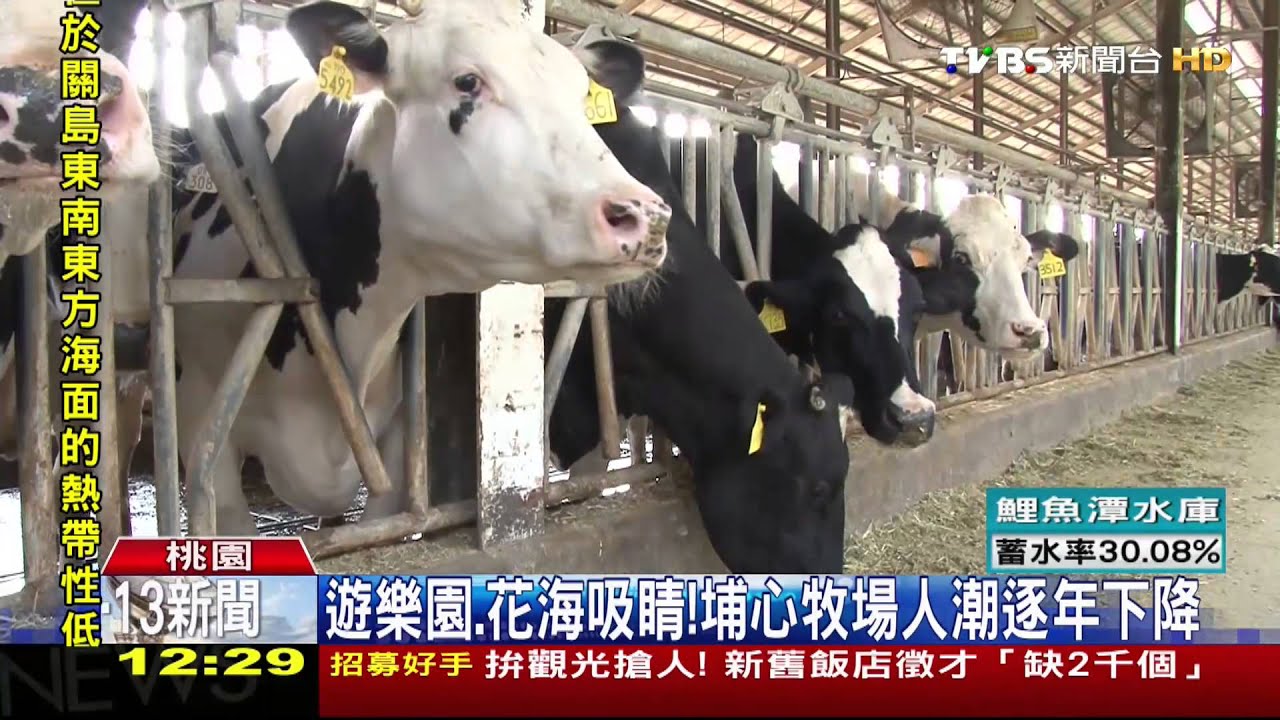 遊樂園、花海吸睛! 埔心牧場人潮逐年下降