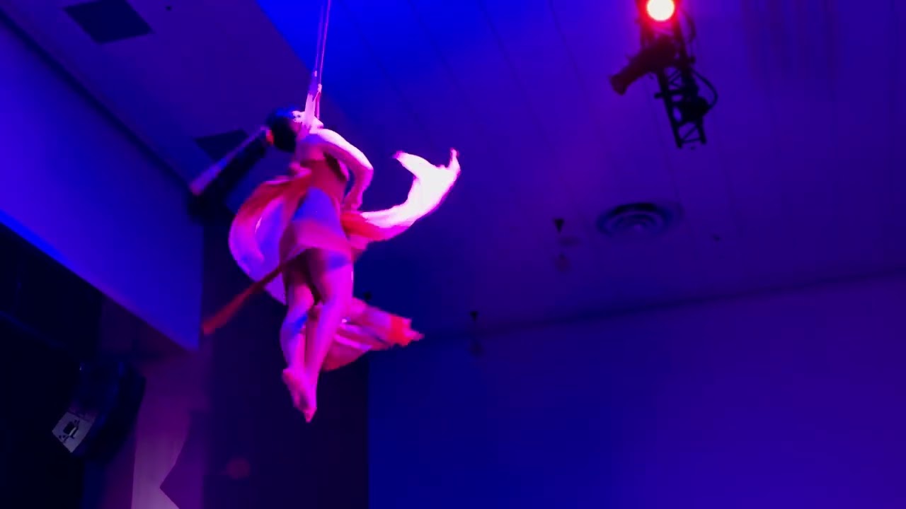 Promotional video thumbnail 2 for Aerial Straps