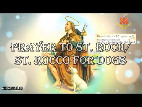 Prayer to St. Roch For Dogs
