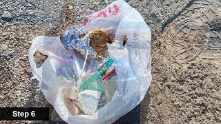 How to do a beach cleanup