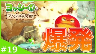 キャラコンを求められて大苦戦！？時間経過で爆発する栗を調査！【ヨッシーとフカシギの図鑑】#19