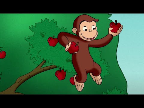 Temporada de cosecha | Jorge El Curioso En Español