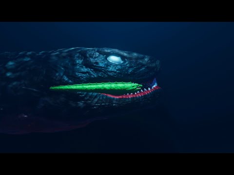 Scp 3000 vs falak snake | sea monsters animation