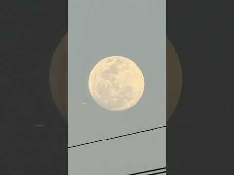 Tic Tac UFO spotted in Brasil. São Paulo. Pindorama #uap #disclosure #ufo